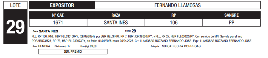 Lote LOTE 29