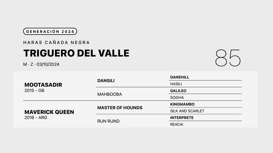 Lote TRIGUERO DEL VALLE