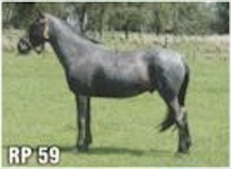 Lote MUÑECO DEL QUEBRACHAL