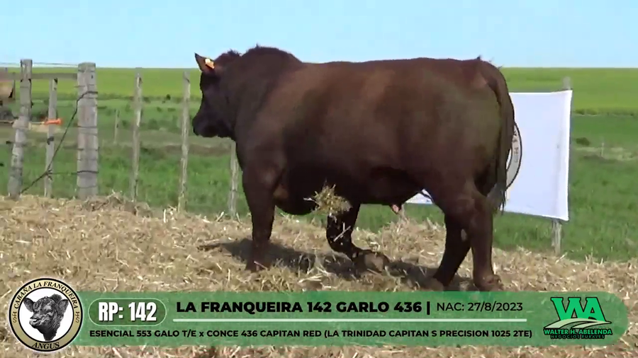 Lote LA FRANQUEIRA 142 GARLO 436