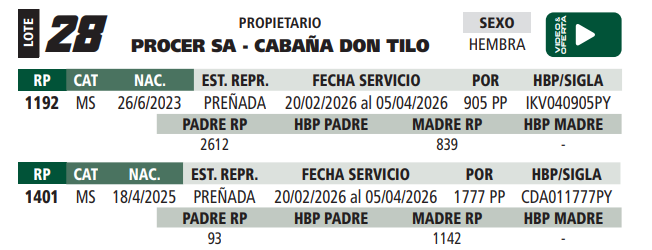 Lote LOTE 28