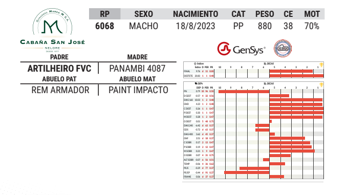 Lote LOTE 48