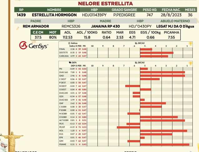 Lote LOTE 77
