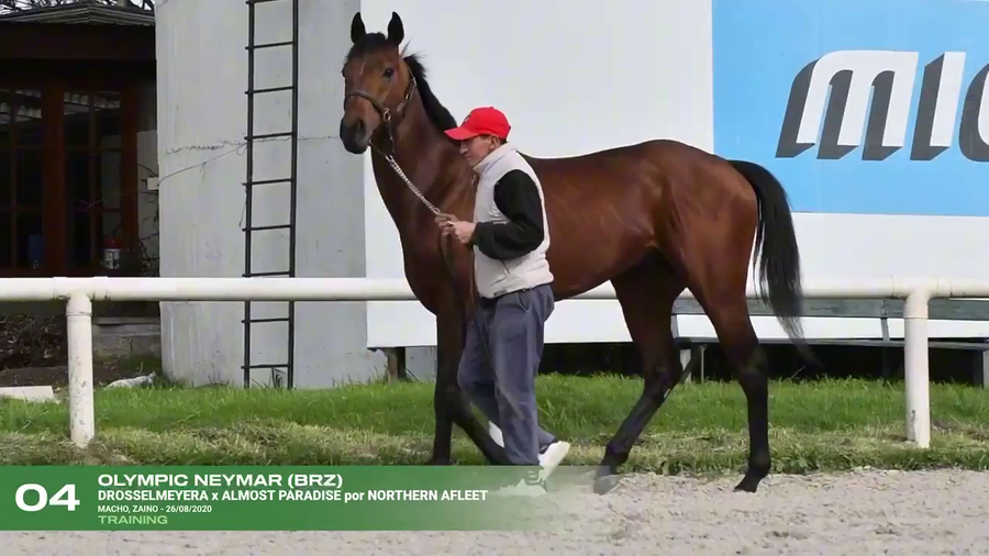 Lote OLYMPIC NEYMAR (BRZ)