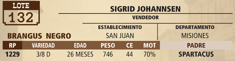 Lote LOTE 132 - VIVO