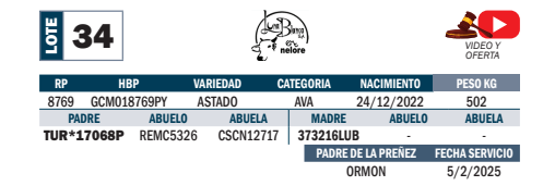 Lote LOTE 34