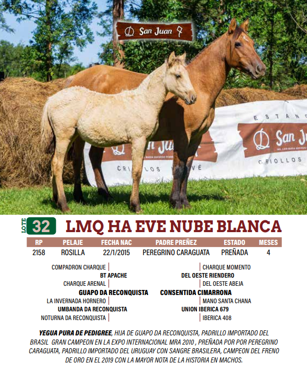 Lote LOTE 32