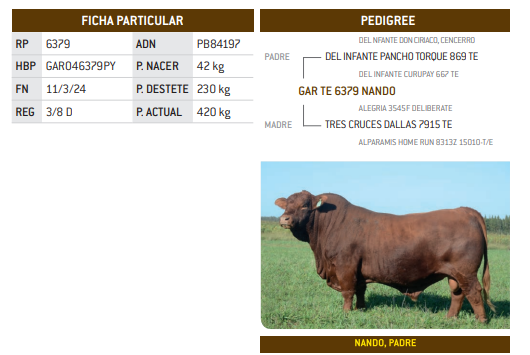 Lote LOTE 30