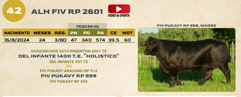 Lote LOTE 42
