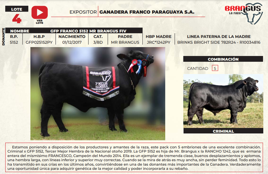 Lote LOTE 4
