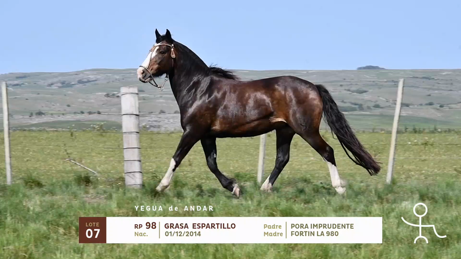Lote GRASA ESPARTILLO
