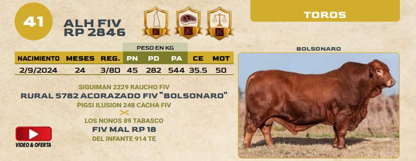 Lote LOTE 41