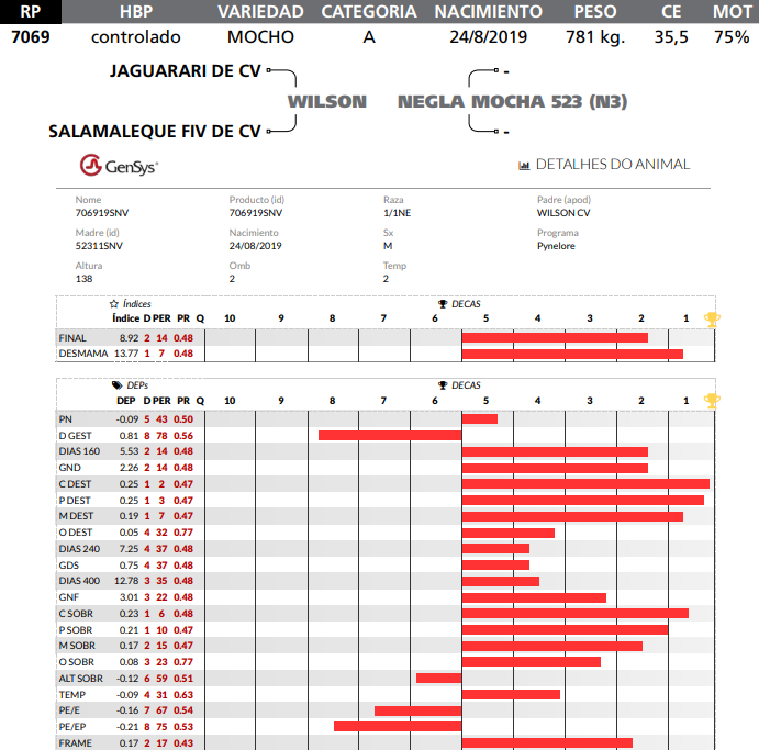 Lote LOTE 28  RP 7069