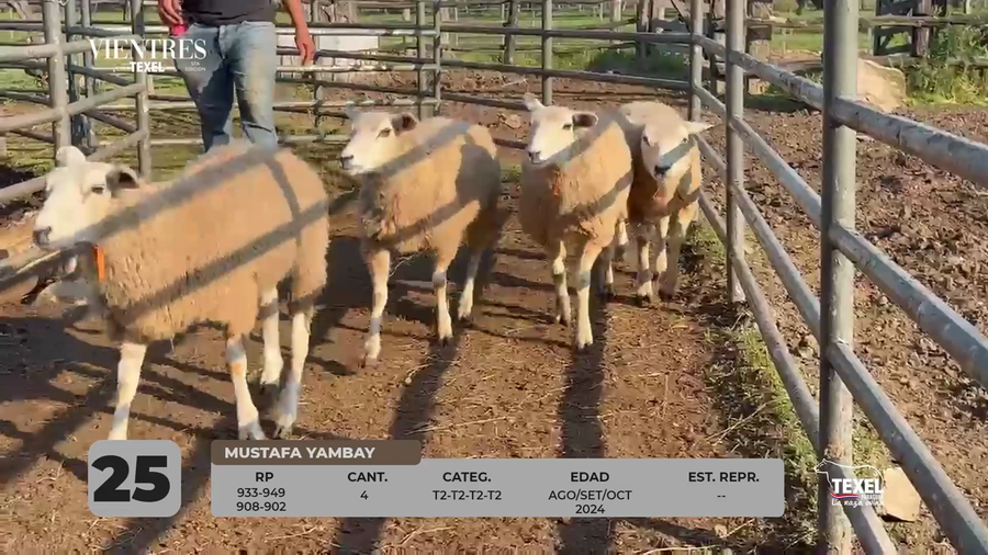 Lote LOTE 25