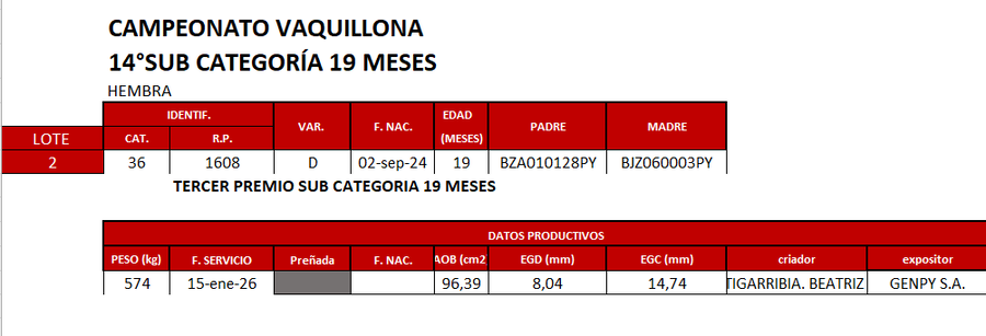 Lote LOTE 2- CAT 36