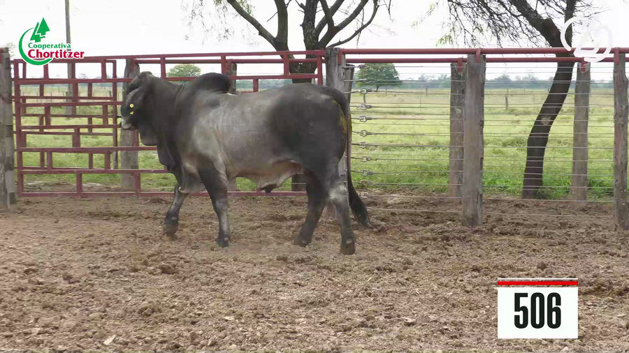 Lote Brahman