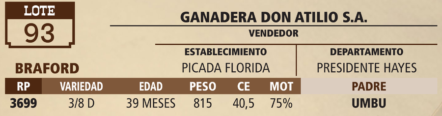 Lote LOTE 93 - VIVO