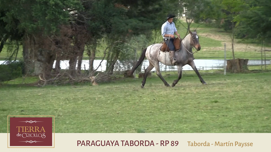 Lote Paraguaya Taborda (RP 89) - Cabaña "Taborda"