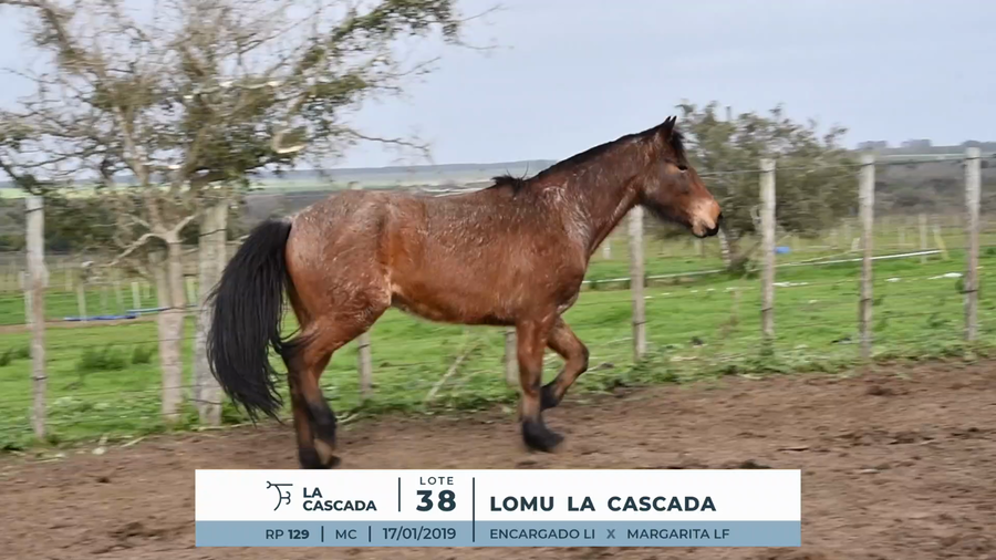 Lote LOMU LA CASCADA