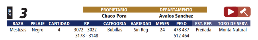 Lote LOTE 3