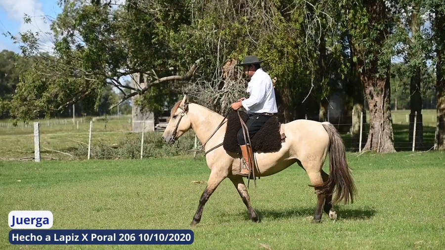 Lote Juerga