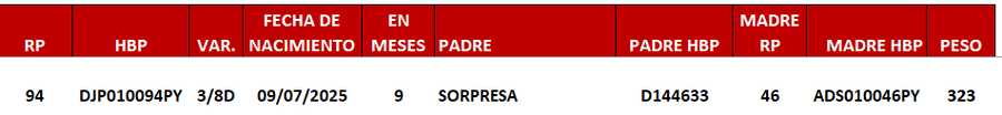 Lote LOTE 8 -DE JUNIOR