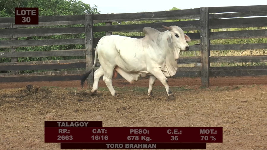 Lote Cabañas de Tradición - Lote 30