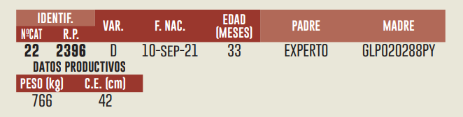 Imagen 2 del Lote Lote LOTE 20