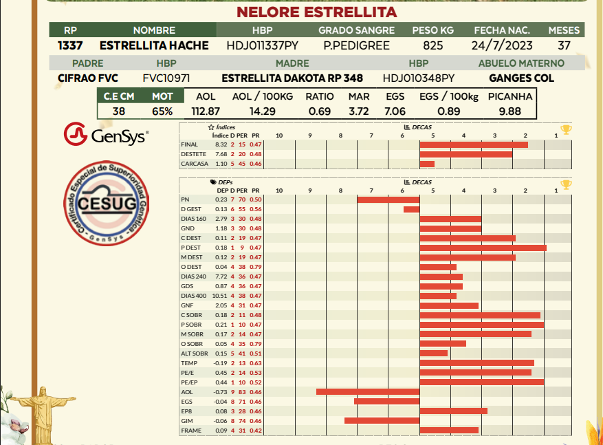 Lote LOTE 12