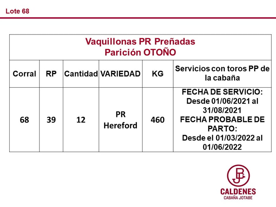 Lote VAQUILLONAS PREÑADAS PR HEREFORD -PARICION OTOÑO 2022-