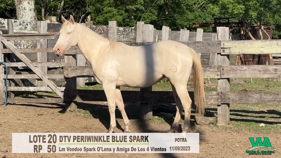 Lote DTV PERIWINKLE BLUE SPARK