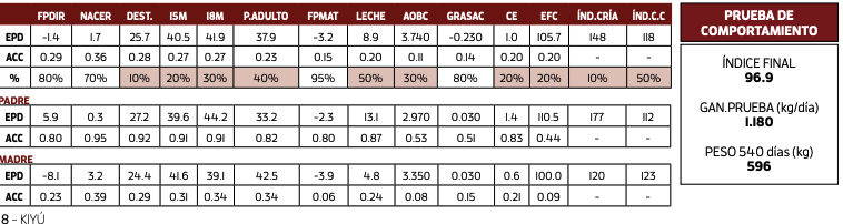 Lote LA LUCHA 2246 VICTOR T719