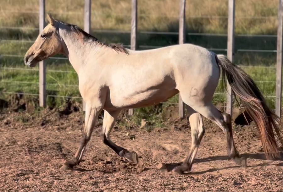 Lote NIRVANA DEL CEIBAL