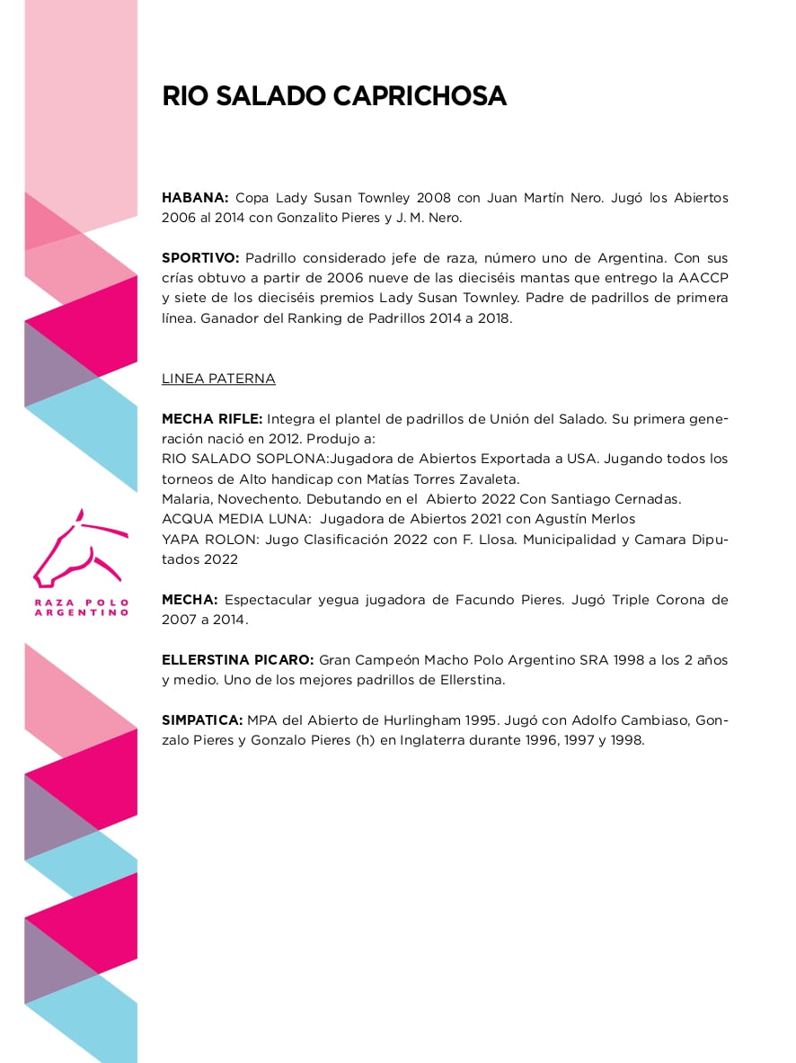 Lote RIO SALADO CAPRICHOSA (MECHA RIFLE - CHAPALEUFU ENGREIDA)