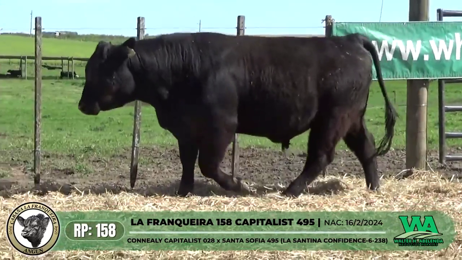 Lote LA FRANQUEIRA 158 CAPITALIST 495