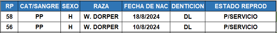 Lote LOTE 6