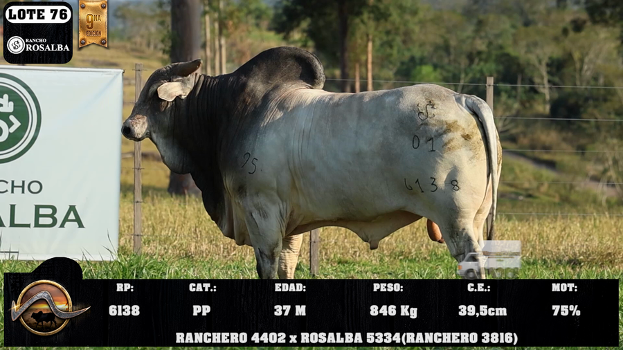 Lote LOTE 76