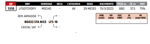 Lote LOTE 54