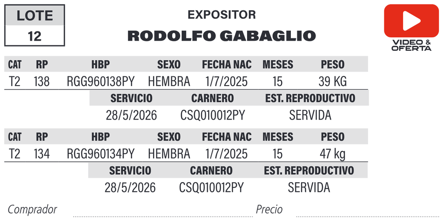 Lote LOTE 12