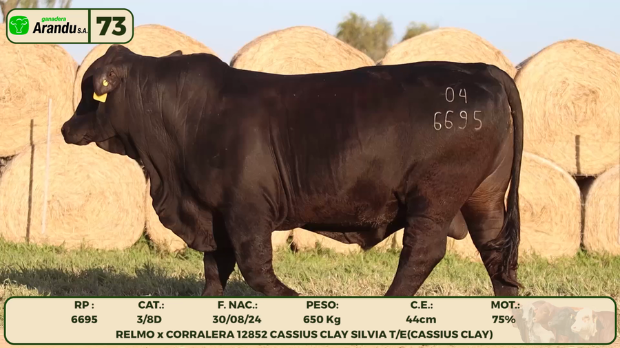 Lote LOTE 73