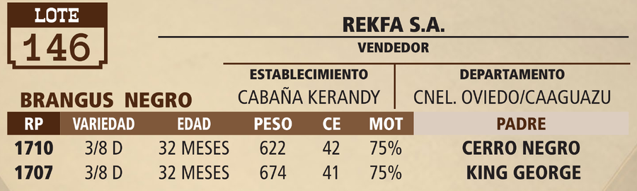 Lote LOTE 146 - VIVO