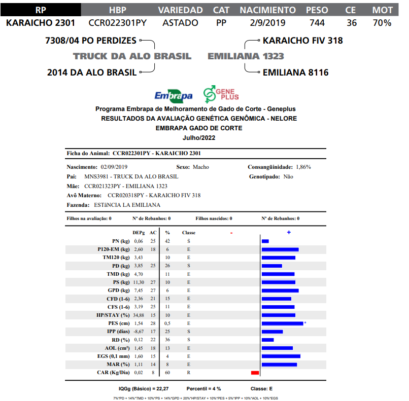 Lote LOTE 31 RP k2301
