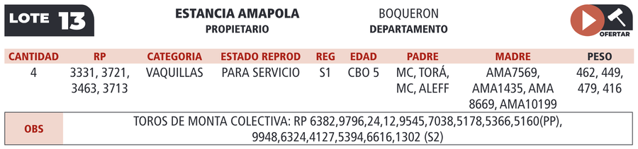 Lote LOTE 13