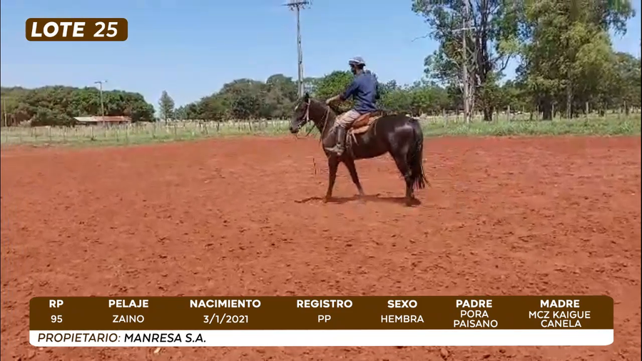 Lote LOTE 25- CAMPO
