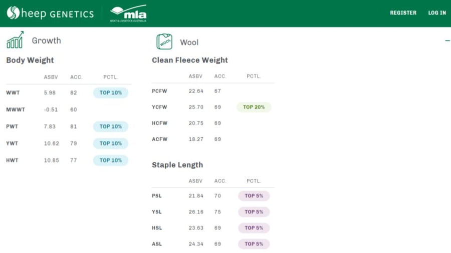 Lote Carnero TOP A, 18-0089