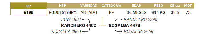 Lote LOTE 7