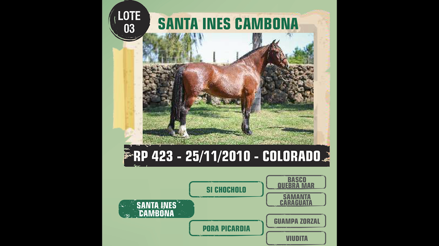 Lote Santa Ines Cambona