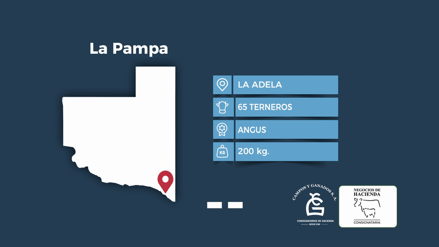 Lote 65 Terneros en La Pampa, La Adela