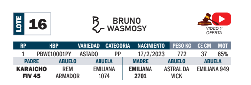 Lote LOTE 16- POR PANTALLA