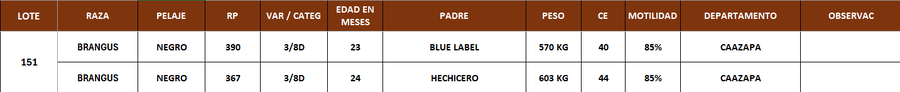 Lote LOTE 151